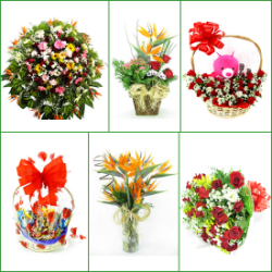 FLORICULTURAS Brumadinho, cestas de café da manhã e coroas de flores